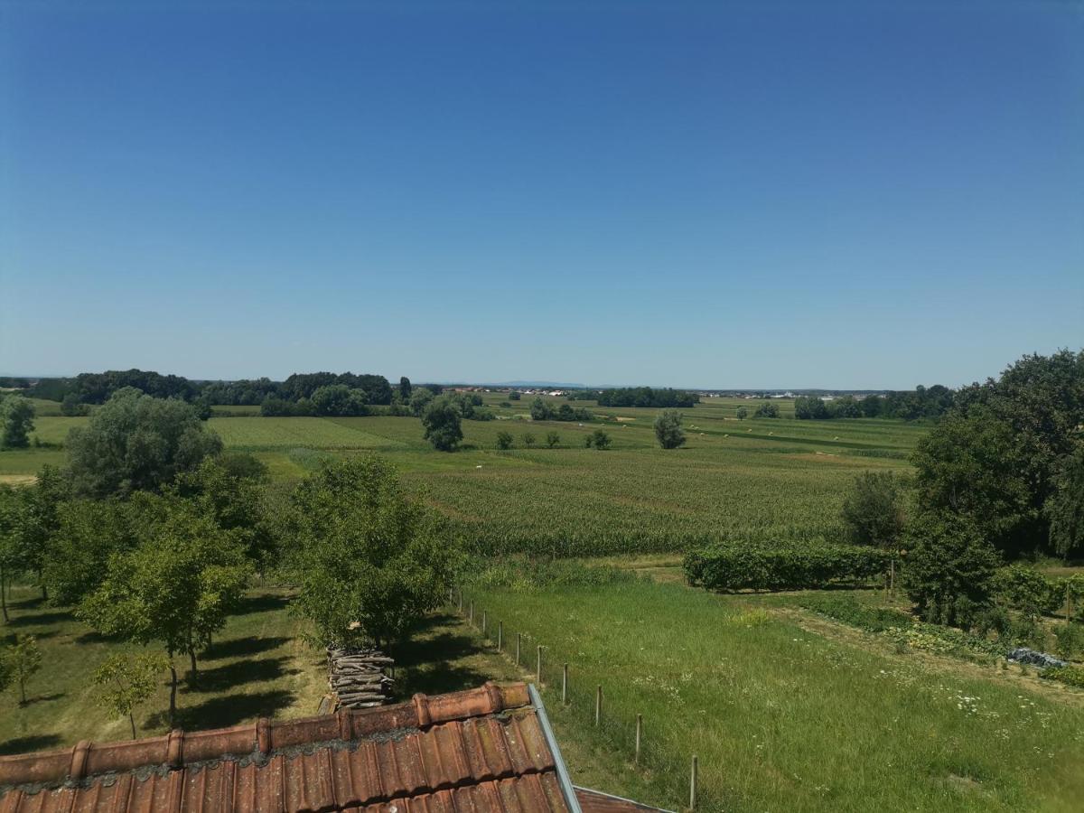 Apartman Sipa Bjelovar Zewnętrze zdjęcie