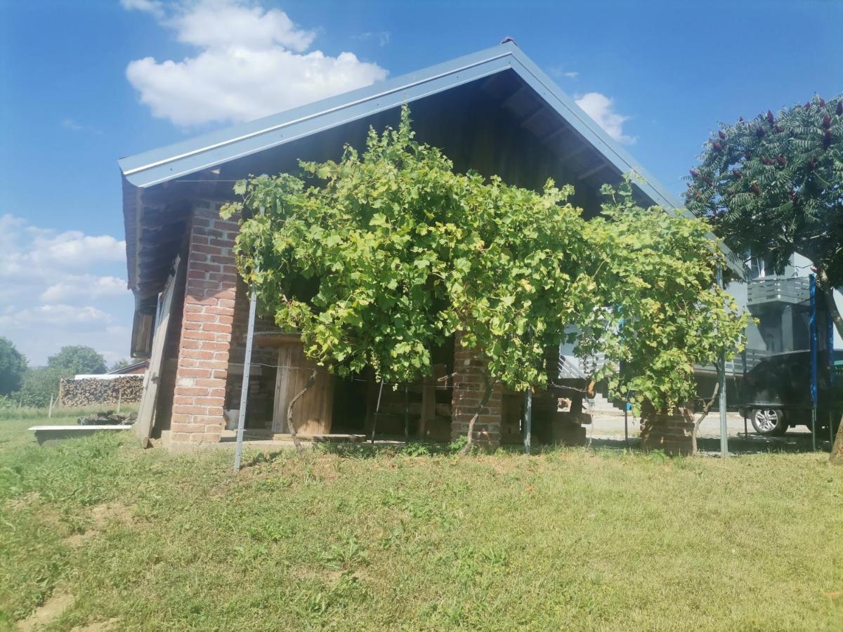 Apartman Sipa Bjelovar Zewnętrze zdjęcie